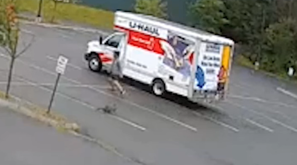 Egy rejtélyes, agresszív állat támadta meg az embereket, már a rendőrség is lépett