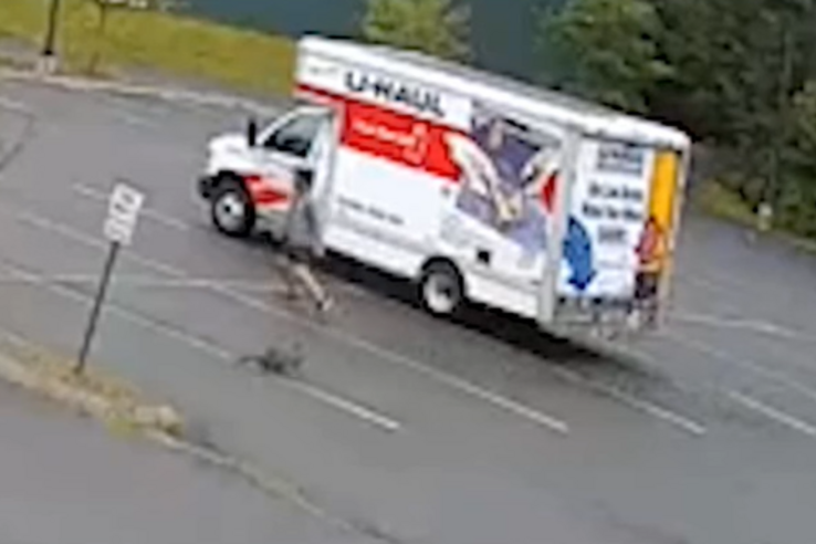 Egy rejtélyes, agresszív állat támadta meg az embereket, már a rendőrség is lépett