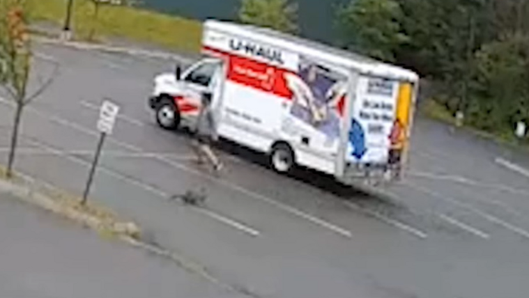 Egy rejtélyes, agresszív állat támadta meg az embereket, már a rendőrség is lépett