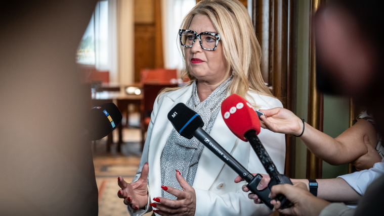 Hallerné Nagy Anikó elárulta, mit mondott neki Magyar Péter, miután elvette tőle a szót
