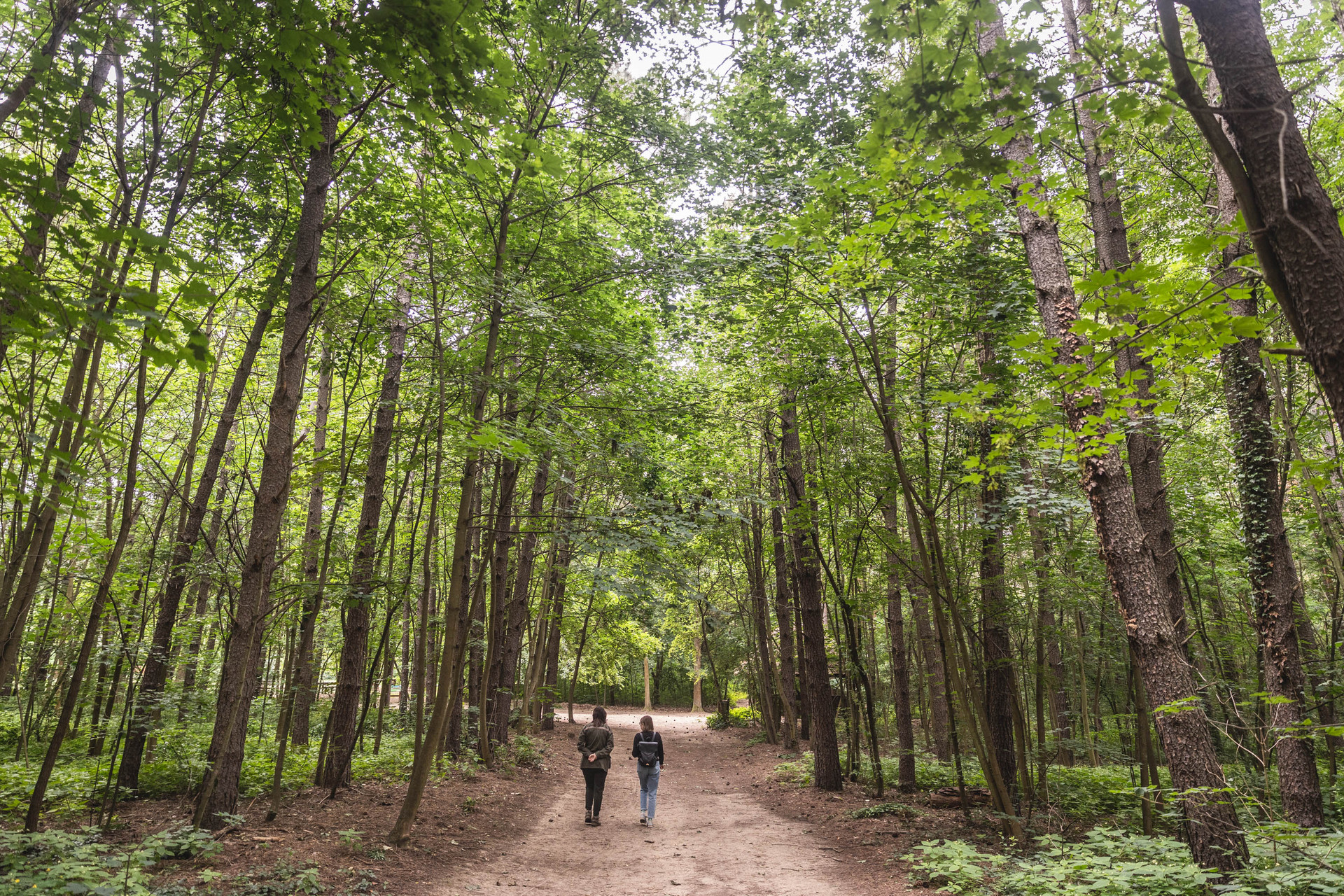 Hatalmas sétákat tehetünk az Arbo-parkban