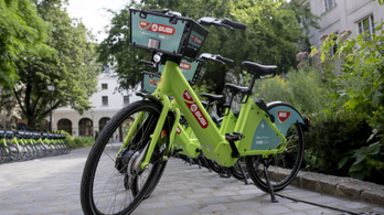Büntetés járhat az igénytelenül széthagyott Bubikért