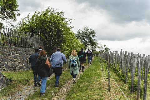 15 őszi gasztroprogram a Balaton környékén