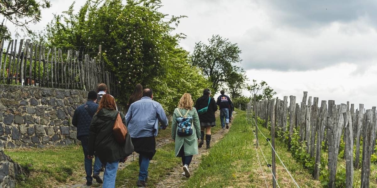 15 őszi gasztroprogram a Balaton környékén