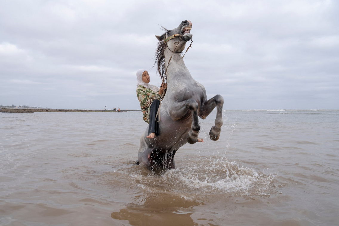 World Press Photo 2026
