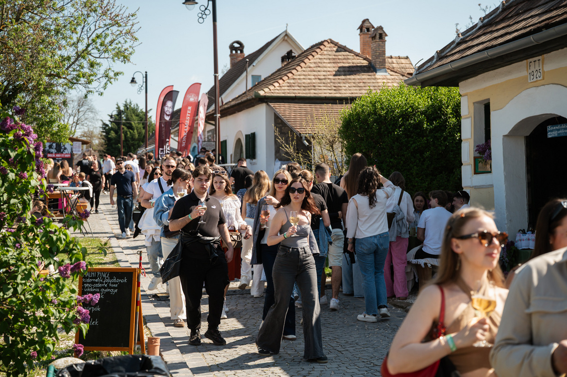 Etyeki Piknik ősz Gündüz Attila