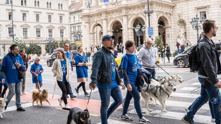 Így készül DOGZ Falkasétára a NOÉ Állatotthon Alapítvány