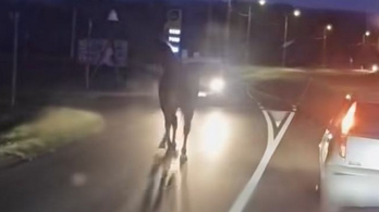 1 lóerős musztángba csapódott egy furgon Keszthelyen