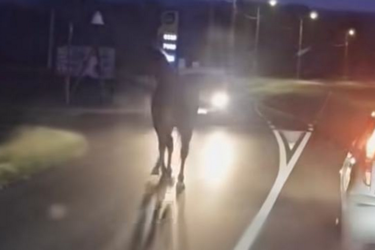 1 lóerős musztángba csapódott egy furgon Keszthelyen