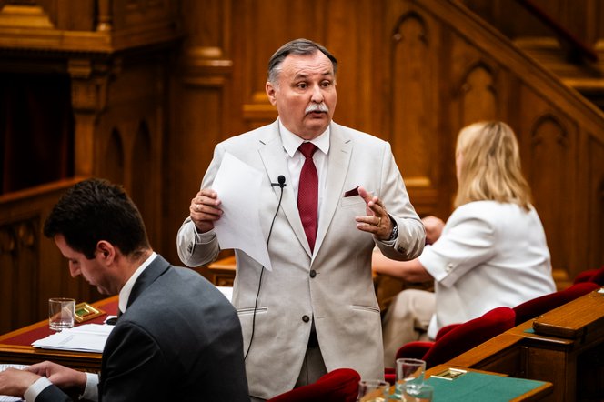 Gajdos László hosszú posztban magyarázta, miért nem hosszabbították meg a fakitermelési moratóriumot