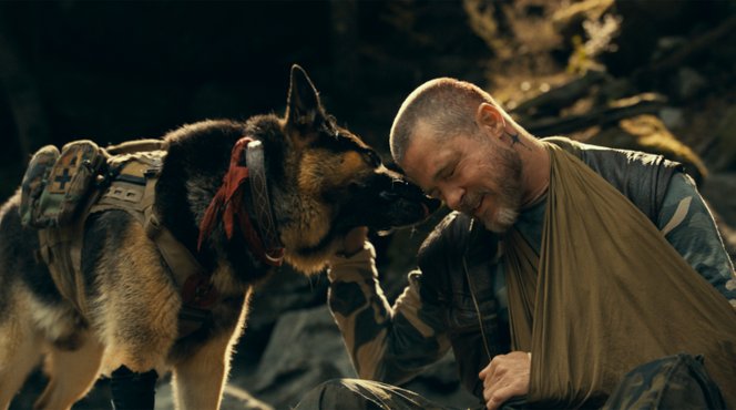 Brad Pitt és a kutyája hatalmasat küzdenek a természettel ebben az új filmben