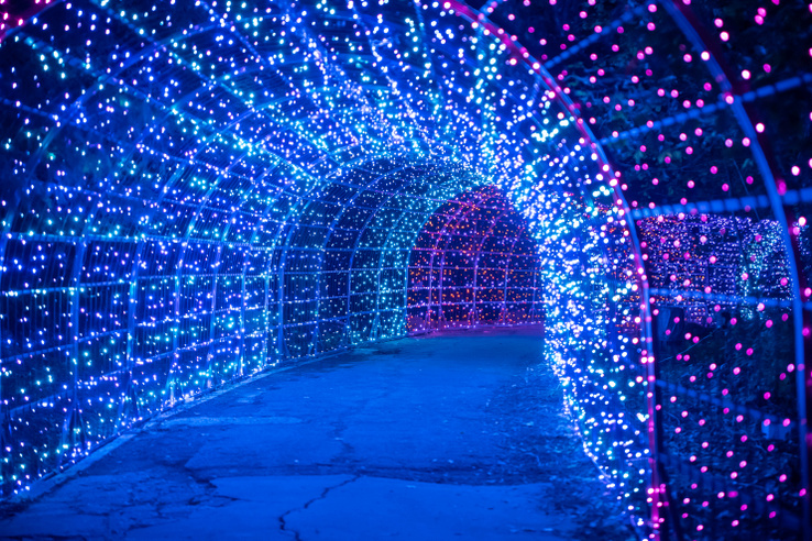 Garden of Lights és Lumina Park: új tematikával nyitnak Budapest népszerű fényparkjai