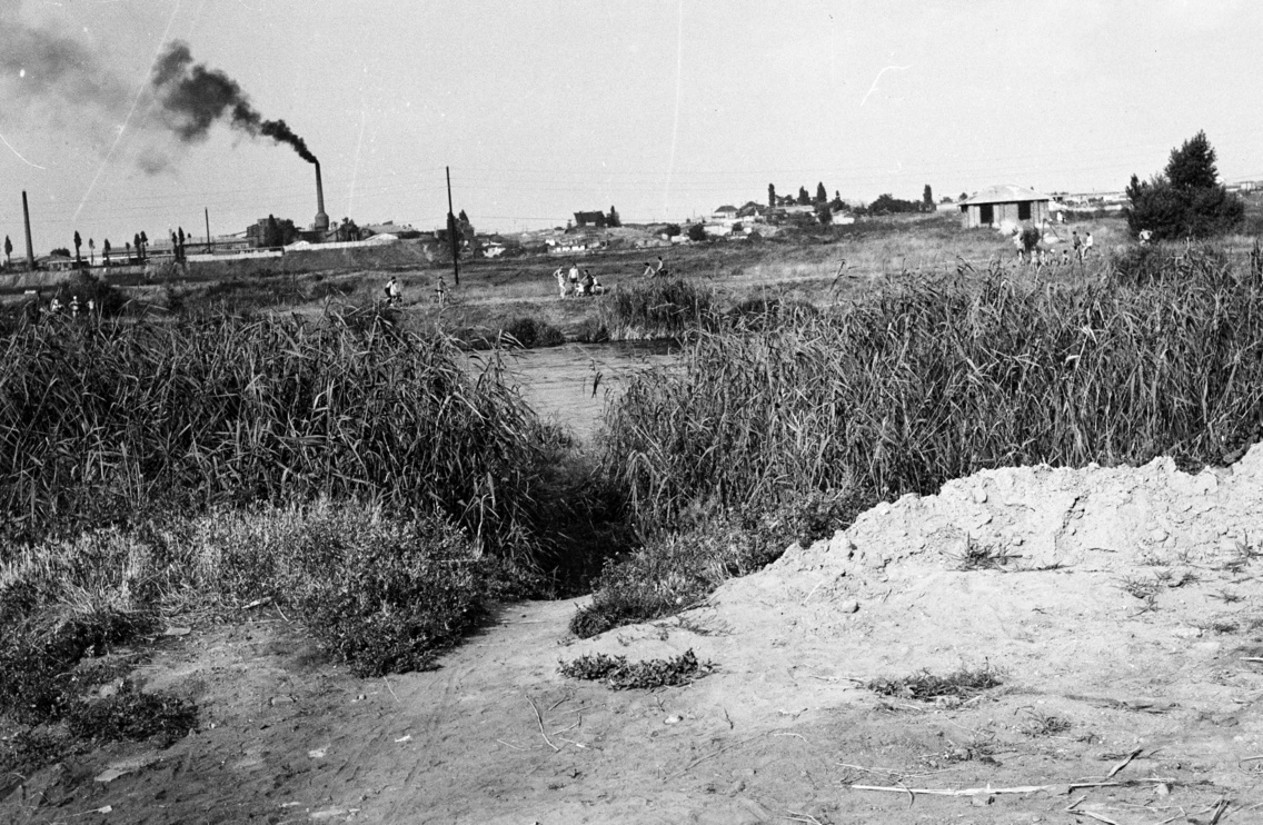 A Ráckevei (Soroksári)-Duna csepeli partja, a távolban a Helsinki (Dózsa György) út menti ipartelep, 1972