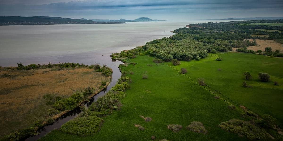 Kiszáradó patakok és apadó források is jelzik, mit jelent az idei rendkívüli szárazság a Balatonnál