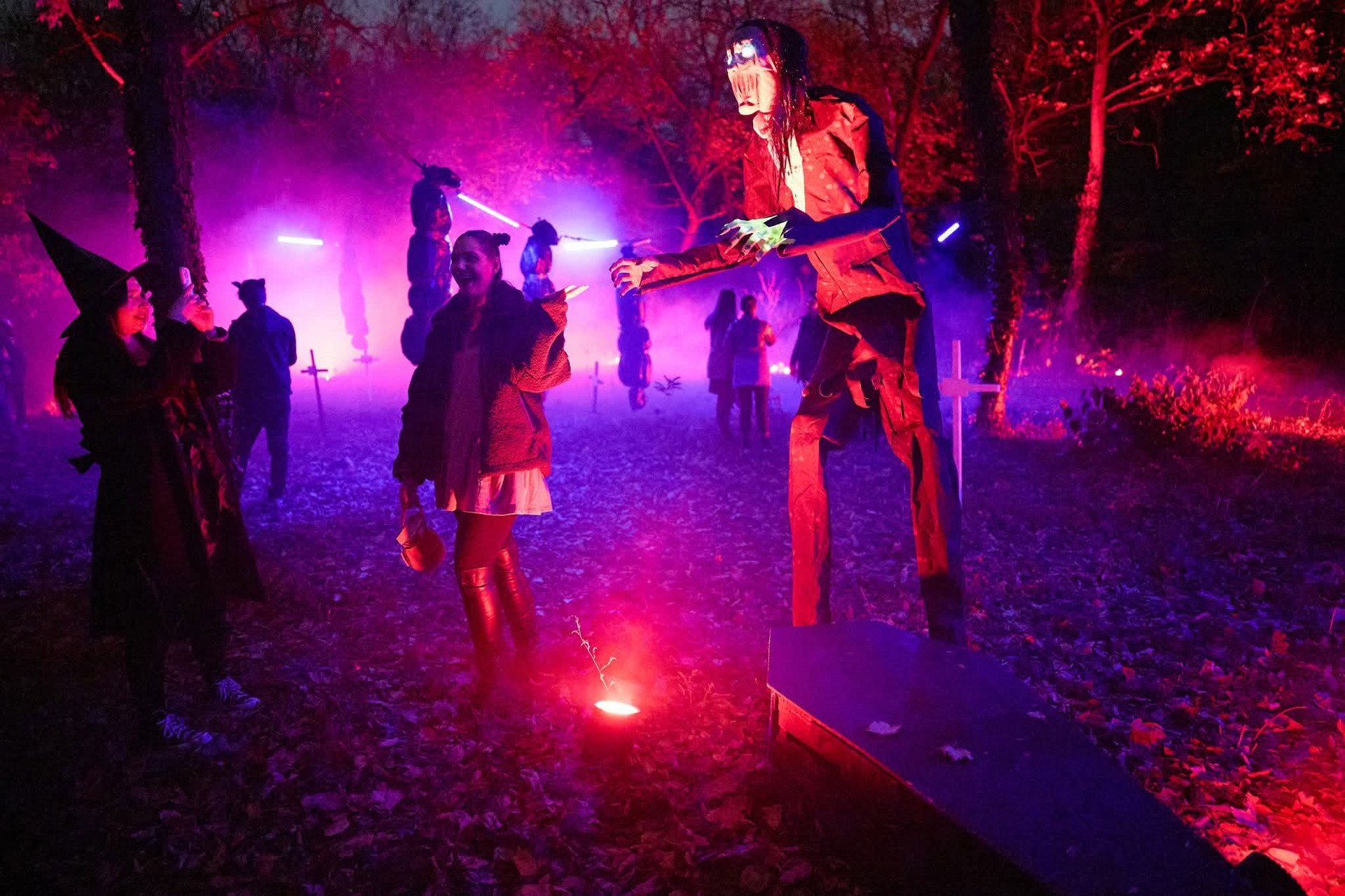 kiserdei halloween