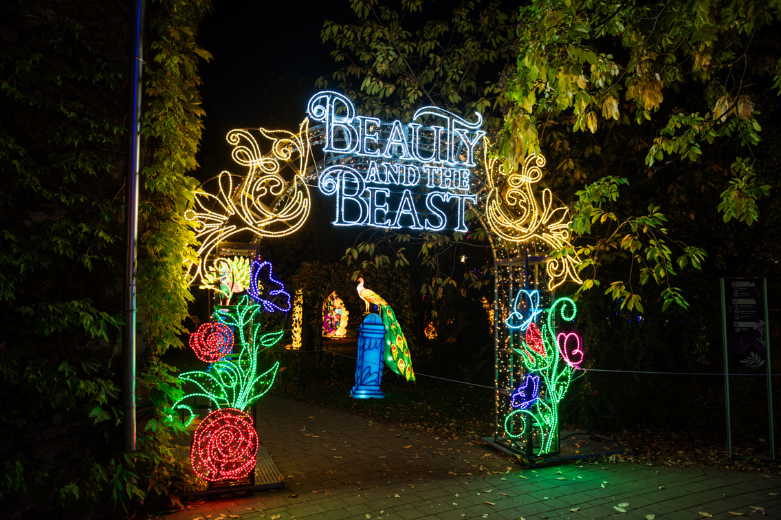 Garden of Lights 2026 007 Medgyesi Milan 20261020