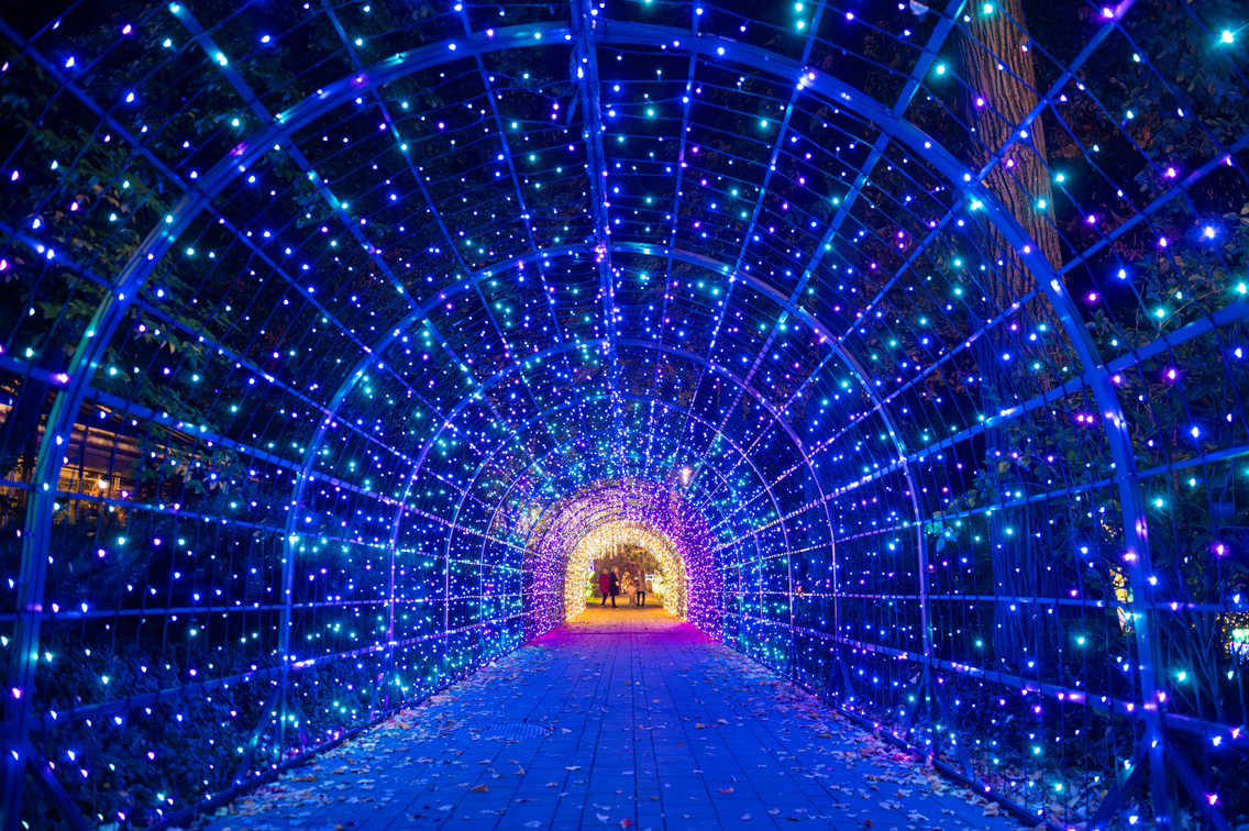 Garden of Lights 2026 029 Medgyesi Milan 20261020
