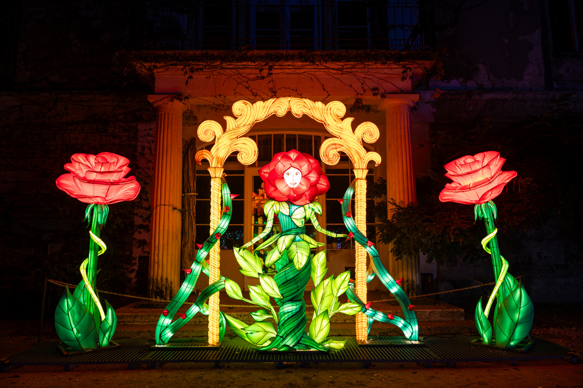 Garden of Lights 2026 051 Medgyesi Milan 20261020