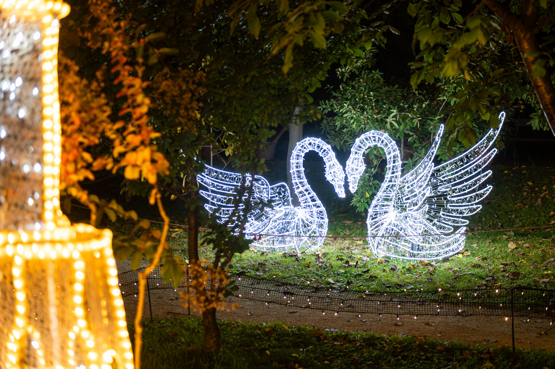 Garden of Lights 2026 048 Medgyesi Milan 20261020