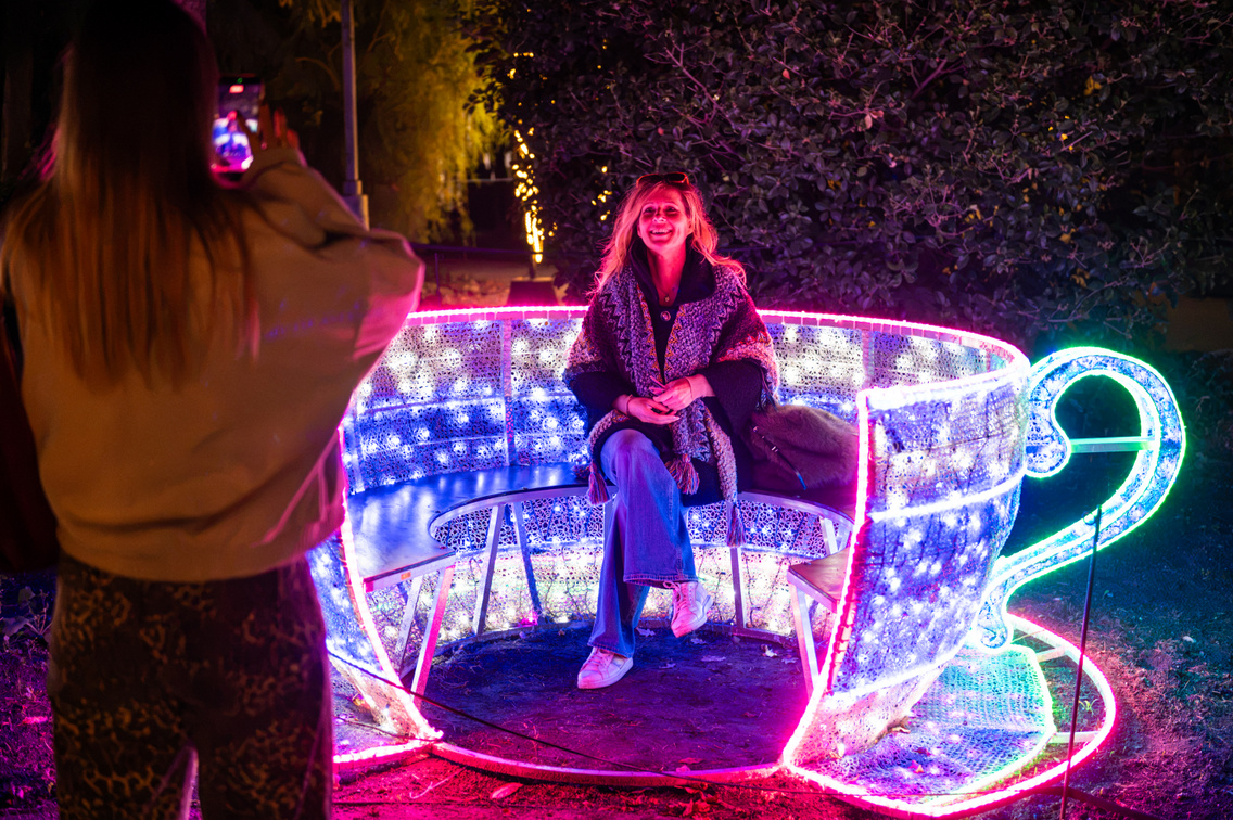 Garden of Lights 2026 042 Medgyesi Milan 20261020