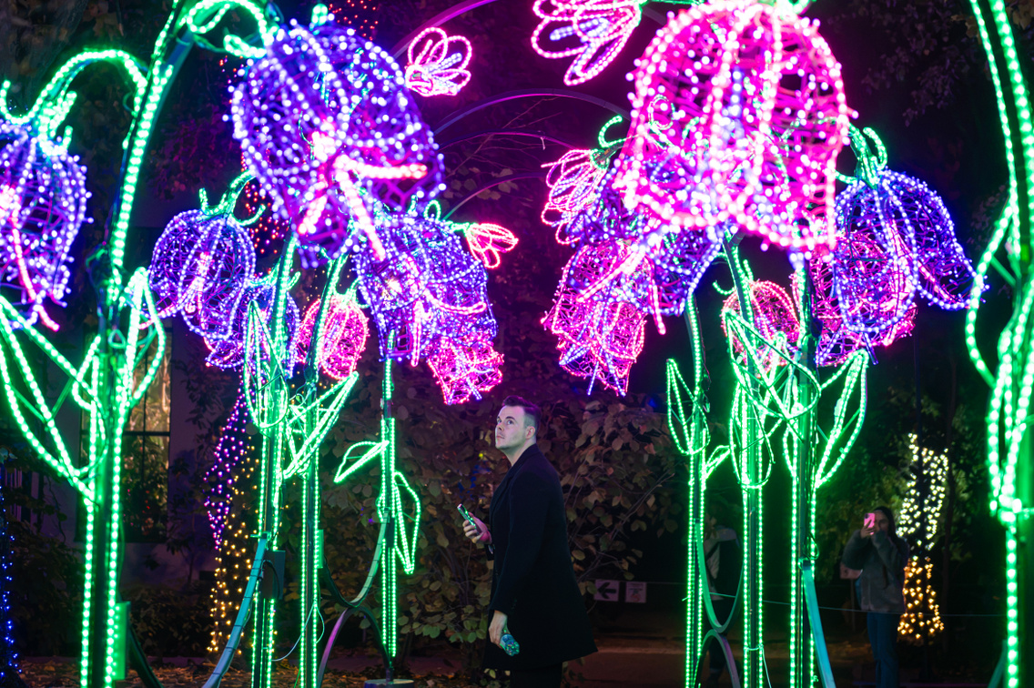 Garden of Lights 2026 036 Medgyesi Milan 20261020