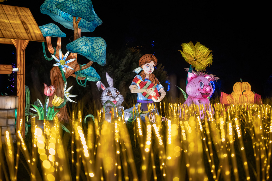 GARDEN OF LIGHTS-192