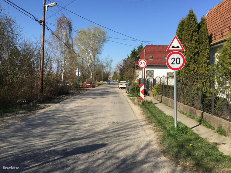 11281694 964619410248771 848259858 n