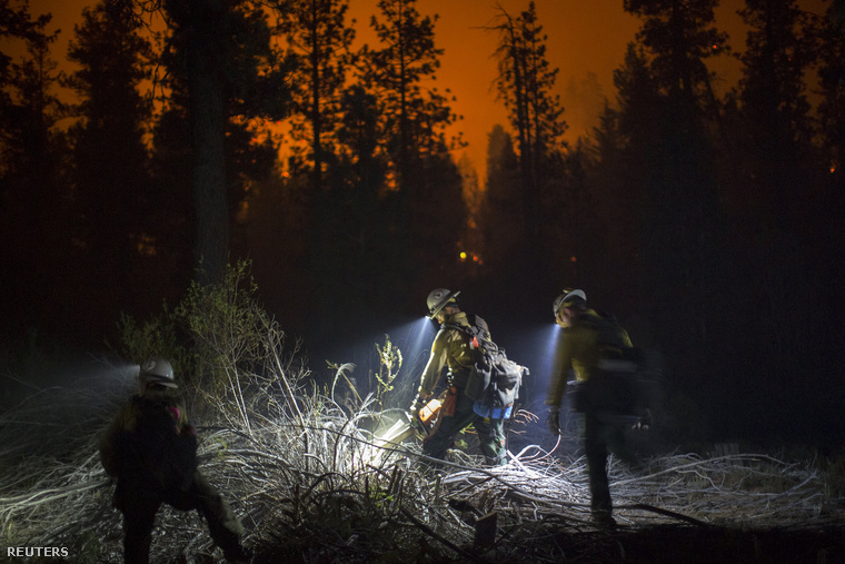 Tűzoltók San Bernardino megye erdőiben, 2015. július 19-én. Több, mint ötszáz tűzoltó dolgozott a legutóbbi, 13000 hektár területen pusztító erdőtüzek megfékezésében.
