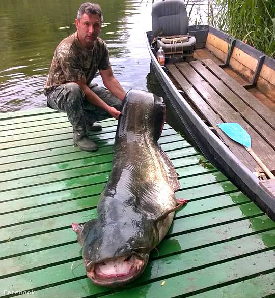 11403138 865179516897988 3827374381621555075 n