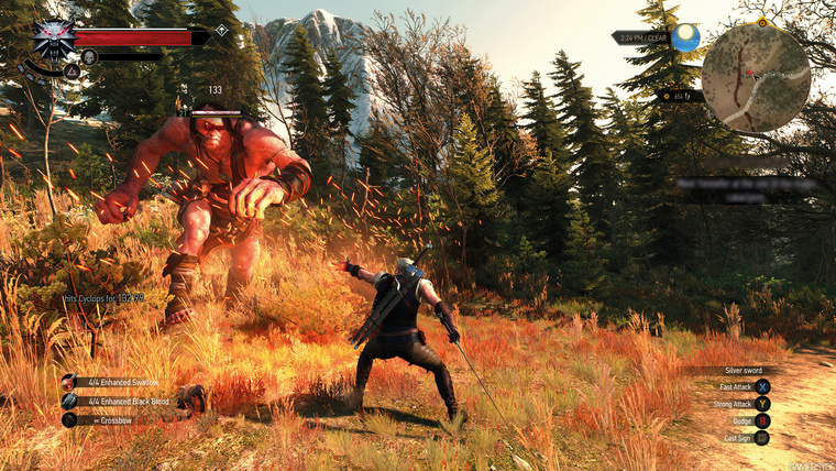 image the witcher 3 wild hunt-28293-2651 0006