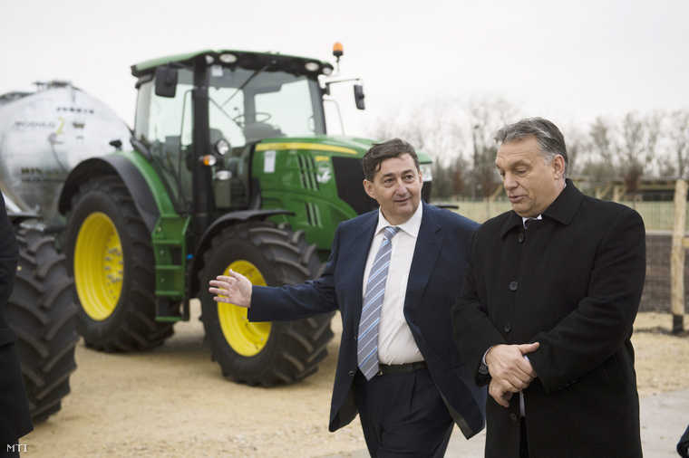 Orbán Viktor miniszterelnök és Mészáros Lőrinc felcsúti polgármester a Búzakalász 66 Felcsút Kft. bányavölgyi mangalicatelepének avatásán a Fejér megyei Alcsútdobozon 2014. november 18-án.