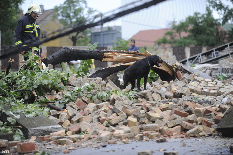 Egy tűzoltó Budapest X. kerületében a Cserkesz utcában keresőkutyájával a viharban kidőlt téglafal romjain