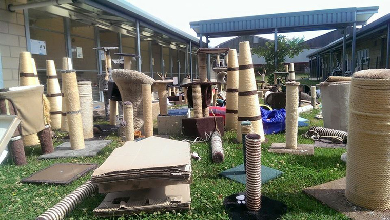 11695875 951014741616978 3286147668785285881 n