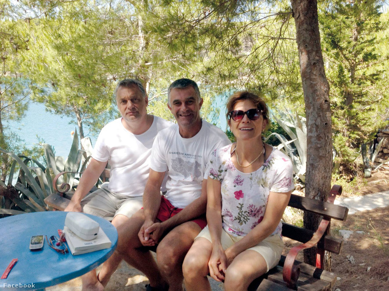 Magyar, dalmát, két jóbarát.