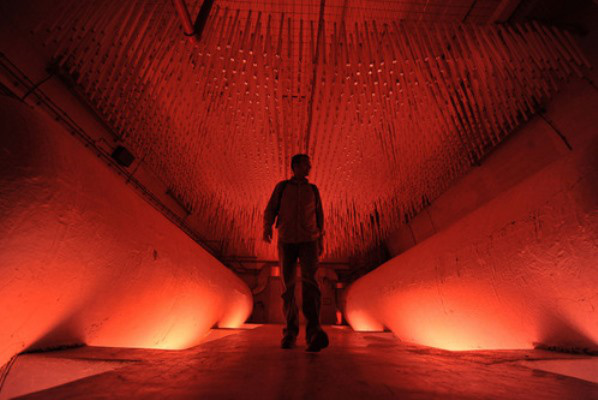 D-0 ARK Underground