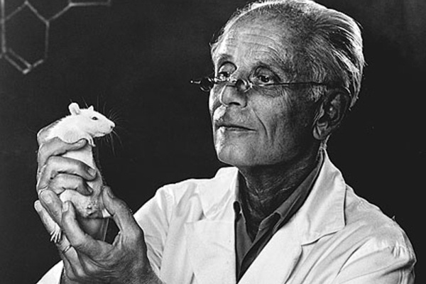 Selye János