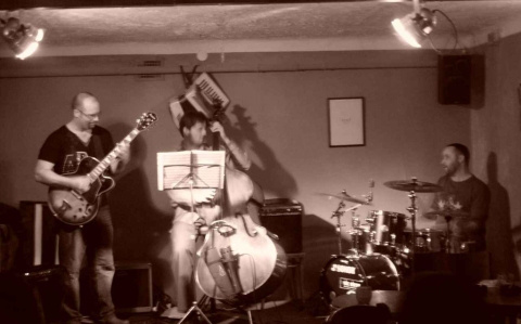 A Matthew Mitchell trio Szegeden