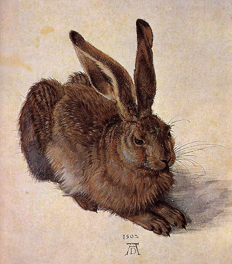 E nyúl ugyan nem kék, de Dürer