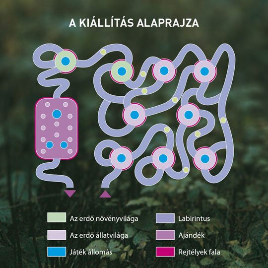 Erdő kiállítás alaprajza