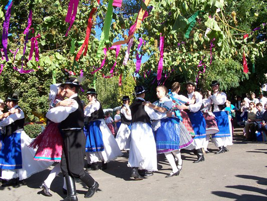 Táncos Sziget