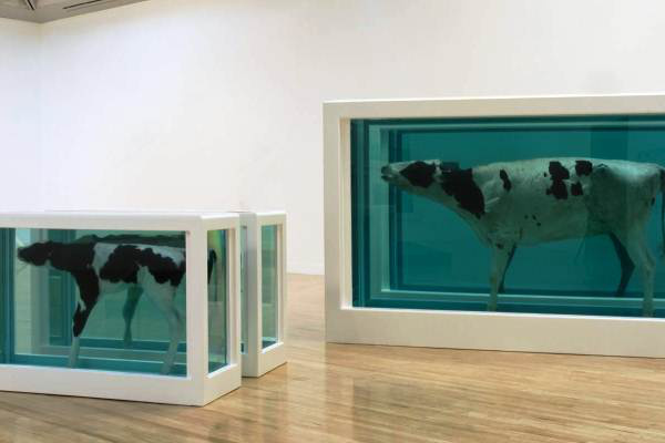 Damien Hirst: Mother and Child Divided, 1993