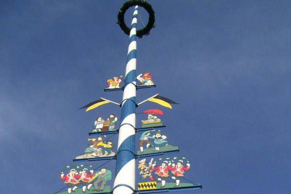 Mainbaum
