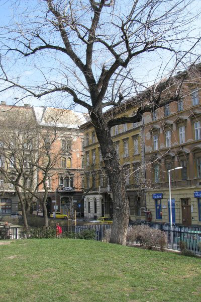 Klauzál tér