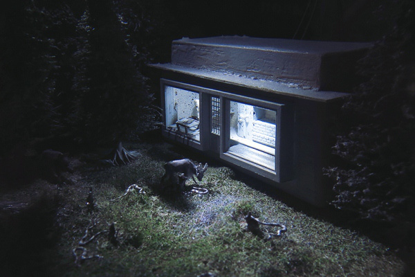 Icko Dávid: There is Hopper in the wood (detail), Mixed Media, 2012.