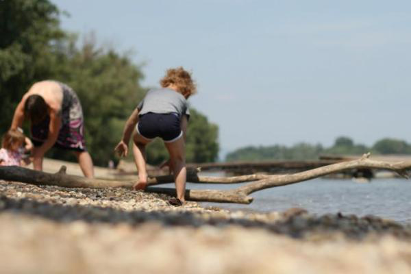 Danube flow - Hív a Duna!