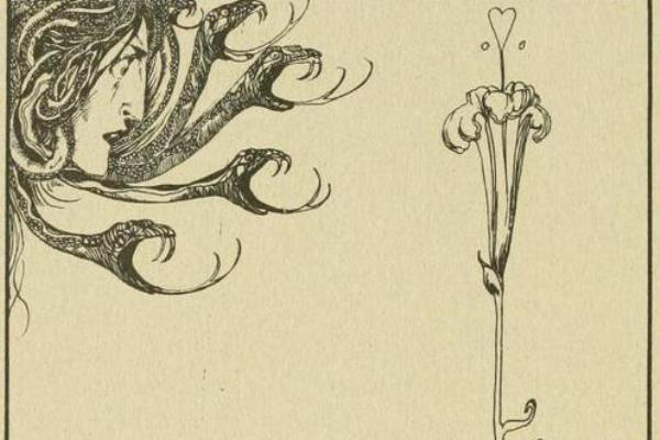 Venusmilk (illusztráció: Willy Pogany)