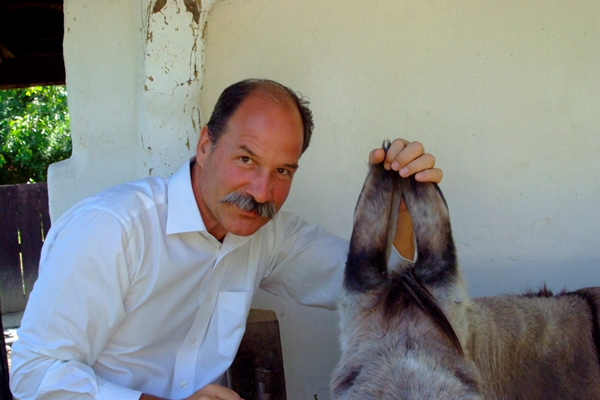 Berecz András