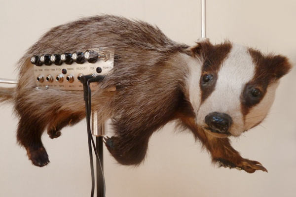 Badgermin