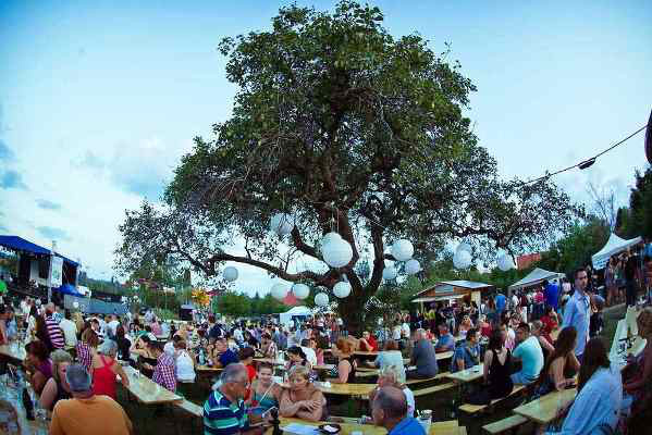 Paloznaki Jazz Piknik