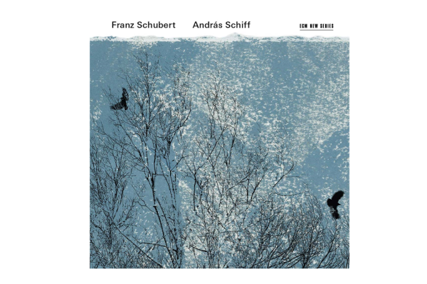 Schiff-Schubert